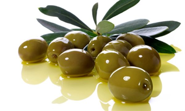 تولید ۱۰۰ هزارتن میوه زیتون در سال جاری