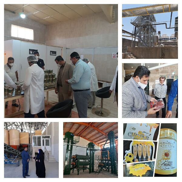 ایجاد و فعال‌سازی ۱۵۰هزار تن ظرفیت جدید فراوری محصولات کشاورزی طی ۴ماهه ابتدای سال