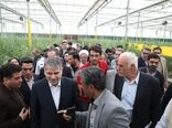 وزیر جهاد کشاورزی از یک واحد بزرگ گلخانه هیدروپونیک در دامغان بازدید کرد