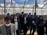 استاندار همدان از پروژه های بخش کشاورزی تویسرکان بازدید کرد 