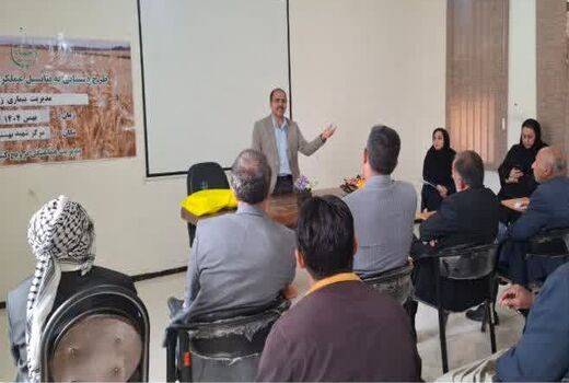  مدیریت تلفیقی «زنگ زرد» کلید کاهش خلأ عملکرد گندم در هویزه است