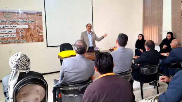  مدیریت تلفیقی «زنگ زرد» کلید کاهش خلأ عملکرد گندم در هویزه است