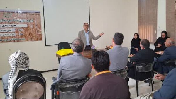  مدیریت تلفیقی «زنگ زرد» کلید کاهش خلأ عملکرد گندم در هویزه است