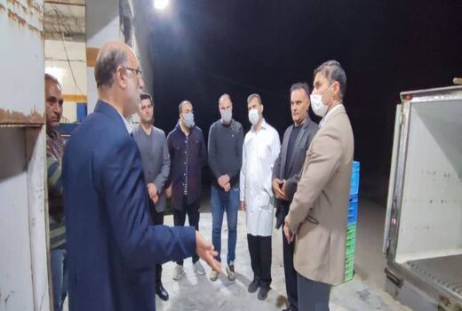 تعطیلی کشتارگاه های مرغ در ایلام ممنوع است
