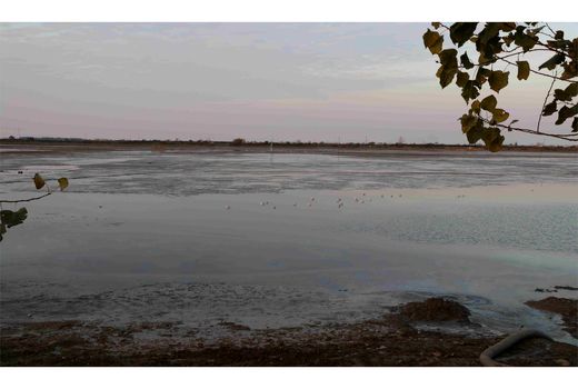 تامین آب 7500 هکتار شالیزار محمودآباد از آببندان ها