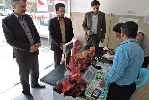 کشف و ضبط 41 تن فرآورده‌های خام دامی در فارس