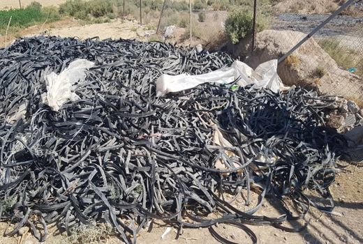 جمع آوری پسماندهای پلاستیکی در اراضی کشاورزی خرامه