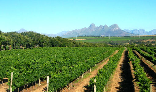 تامین 3 هزار و 142 تن کود یارانه‌ای برای باغات استان قزوین