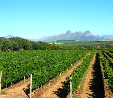 تامین 3 هزار و 142 تن کود یارانه‌ای برای باغات استان قزوین