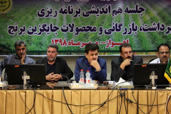 برنج مهمترین محصول تابستانه استان خوزستان است