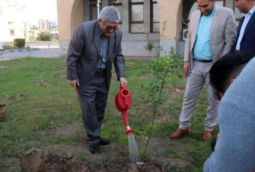 غرس نهال ایثار در خوزستان