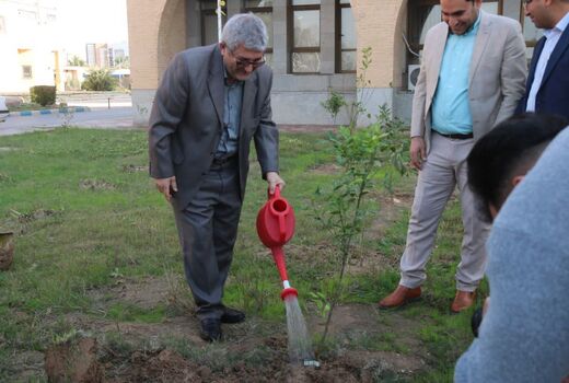 غرس نهال ایثار در خوزستان