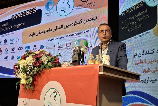 اصلاحات بهداشتی صنعت طیور در اولویت تحقیقات قرار گیرد

 