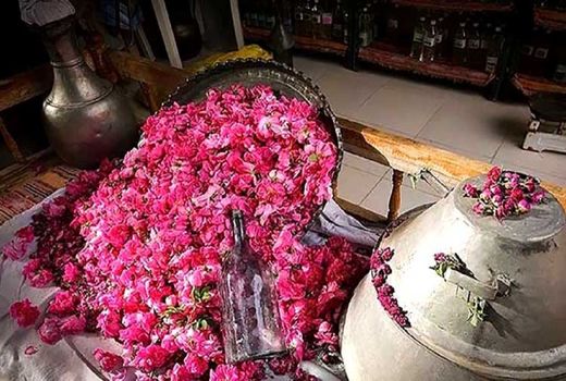 لزوم برندسازی گل محمدی و گلاب ایرانی در جهان