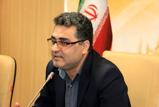 بیش از ۲۲ هزار تن بذر گندم اصلاح شده در کردستان تولید می شود