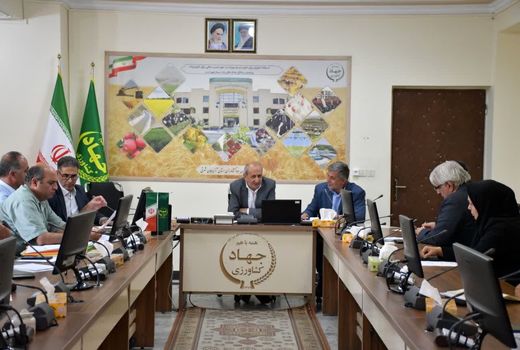 لزوم فرهنگ‌سازی برای استفاده از بذرهای اصلاح‌شده