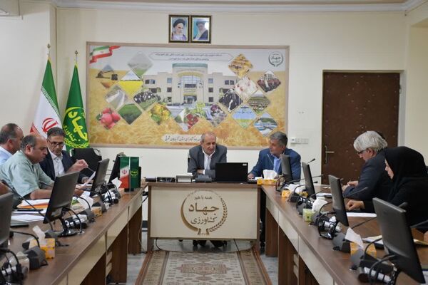 لزوم فرهنگ‌سازی برای استفاده از بذرهای اصلاح‌شده