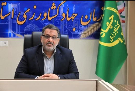 توسعه گلخانه‌های مدرن از اهداف سند تحولی یزد نوین 