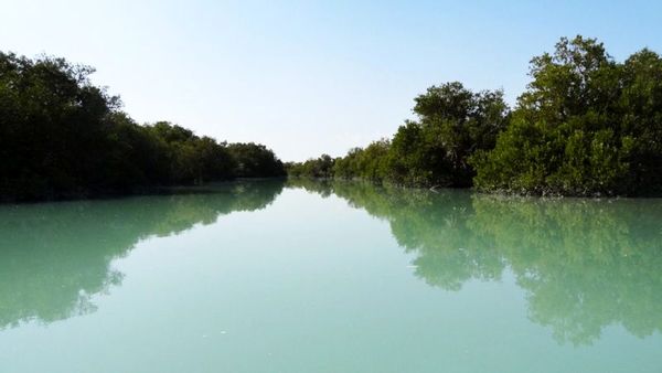 تالاب آق‌قشلاق بین‌المللی شد