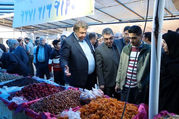 تولید ۹۹ درصد لپه کشور در شهرستان آذرشهر