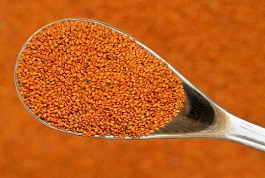 دیم کاری بیش از 3 هزار هکتار خاکشیر در مرودشت