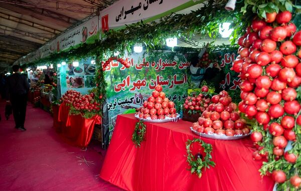 رفع چالش‌های زنجیره تولید و صادرات انار روی میز وزارت جهاد کشاورزی