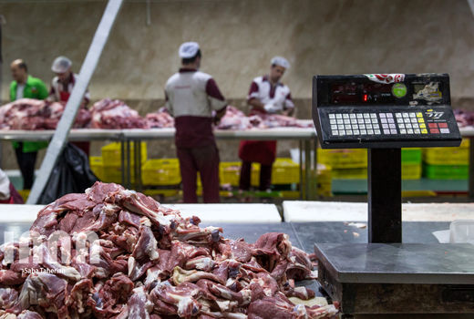 زنجیره تولید راهی مطمئن برای سودآوری در بخش‌های کشاورزی و دامداری