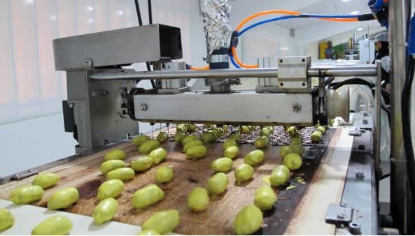 افزایش ظرفیت تولید واحدهای صنایع تبدیلی و غذایی در سال 1403
