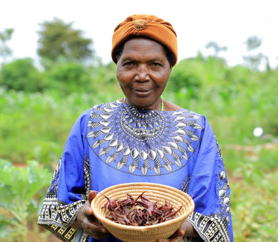 تنوع زیستی در مزارع اوگاندا