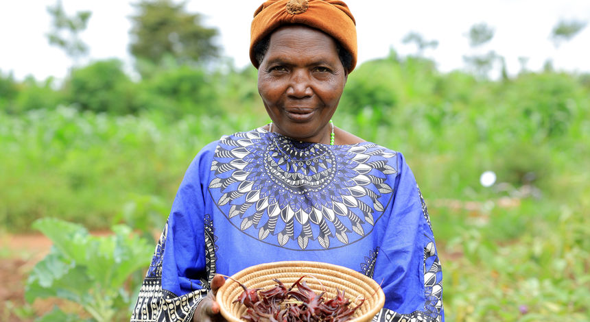 تنوع زیستی در مزارع اوگاندا