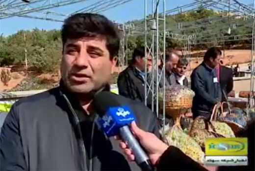 رشد 50 درصدی صادرات کالاهای کشاورزی از گمرکات آذربایجان شرقی در سال‌جاری