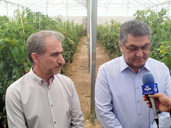 عزم جدی شرکت شهرک‌های کشاورزی برای توسعه گلخانه‌ها در ایلام