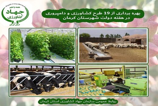 19 طرح کشاورزی و دامپروری شهرستان کرمان در هفته دولت به بهره برداری می رسد