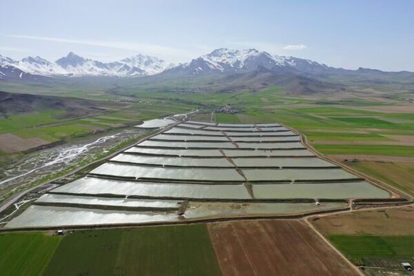 اختصاص ۲۶۰ میلیارد تومان اعتبار برای اقدامات پیشگیرانه در حوزه‌های آبخیز ۱۲ استان آسیب دیده از سیل‌
