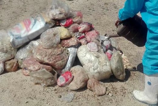 پنج مرکز عرضه فرآورده دامی متخلف در 3 ماهه اول امسال پلمپ شد