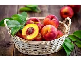 صادرات 360 تن شلیل از میاندورود به خارج از کشور