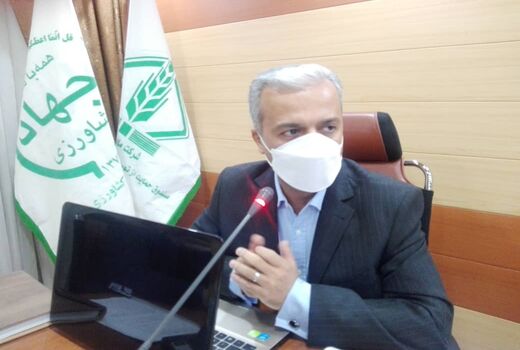 176 تشکل عضو صندوق حمایت از توسعه کشاورزی آذربایجان غربی هستند