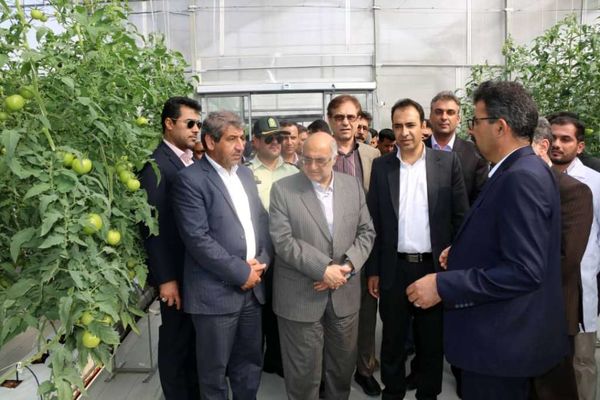 دو طرح بخش کشاورزی در شهرستان ارزوئیه افتتاح شد
