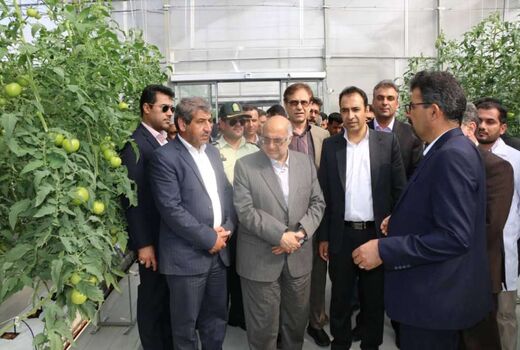  دو طرح بخش کشاورزی در شهرستان ارزوئیه افتتاح شد
