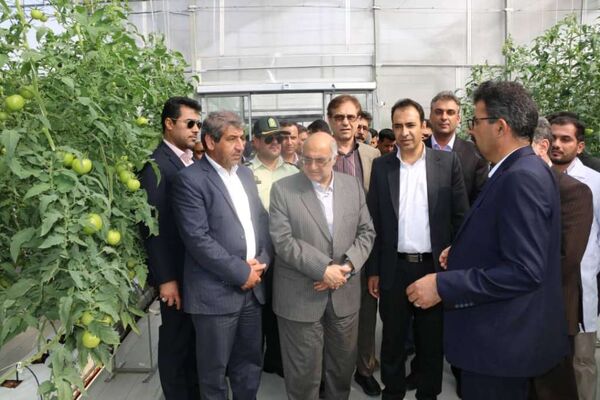  دو طرح بخش کشاورزی در شهرستان ارزوئیه افتتاح شد