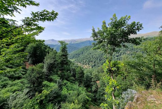 دستورالعمل برگزاری هفته منابع طبیعی به‌زودی به استان‌ها ابلاغ می‌شود