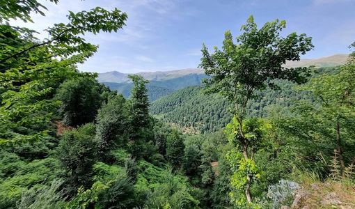 دستورالعمل برگزاری هفته منابع طبیعی به‌زودی به استان‌ها ابلاغ می‌شود