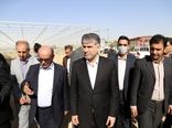 بازدید وزیر جهاد کشاورزی از گلخانه هیدروپونیک کشور در شهرستان دیواندره