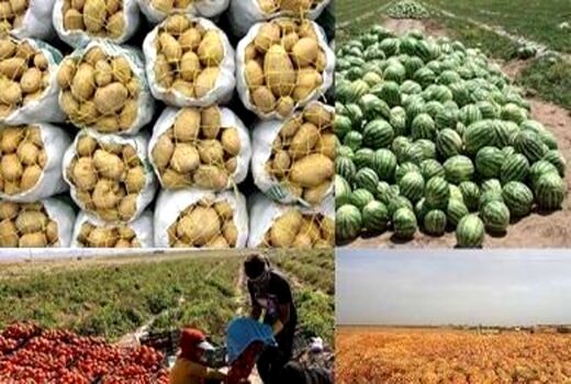 ۲۳۱ میلیون دلار محصولات کشاورزی از کردستان صادر شد