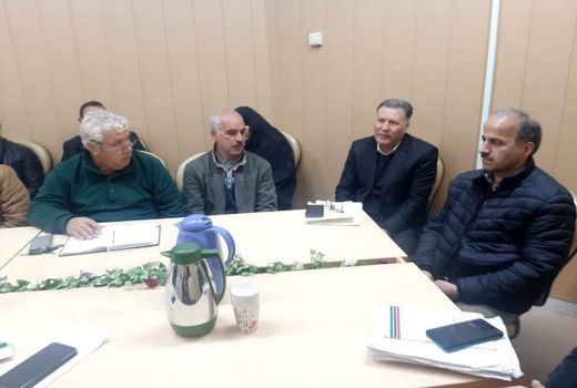 ۲۰ هزار اصله درخت قدیمی گردو در قزوین سرشاخه کاری شده است