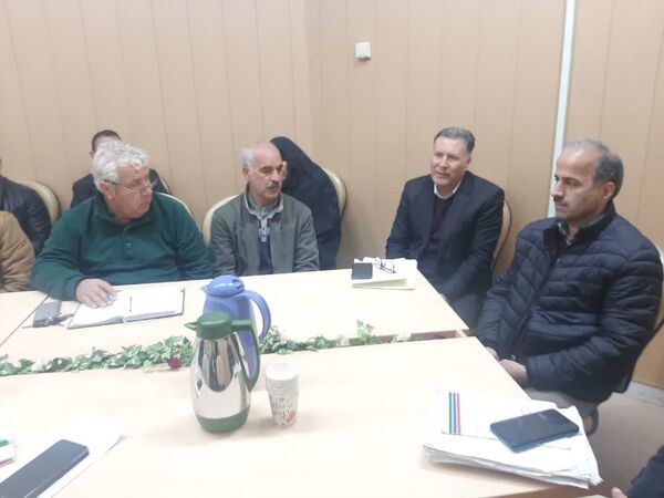 ۲۰ هزار اصله درخت قدیمی گردو در قزوین سرشاخه کاری شده است