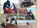 کشت مزرعه الگویی مقایسه ارقام گندم (PVS) در بخش درح
