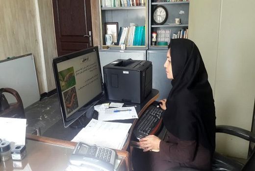 پیشگیری از آفات کلزا در مزارع خوزستان