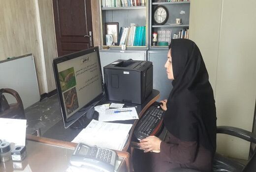 پیشگیری از آفات کلزا در مزارع خوزستان
