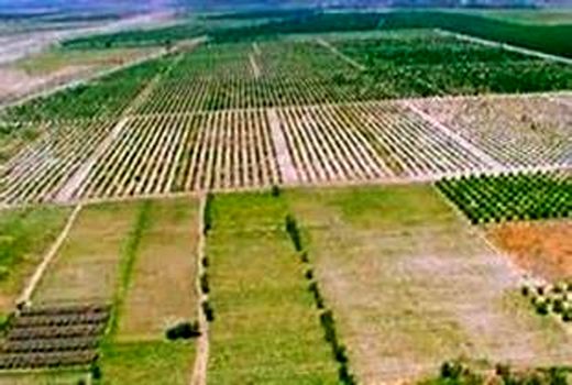 رفع تداخلات 11 هزار هکتار اراضی نکا